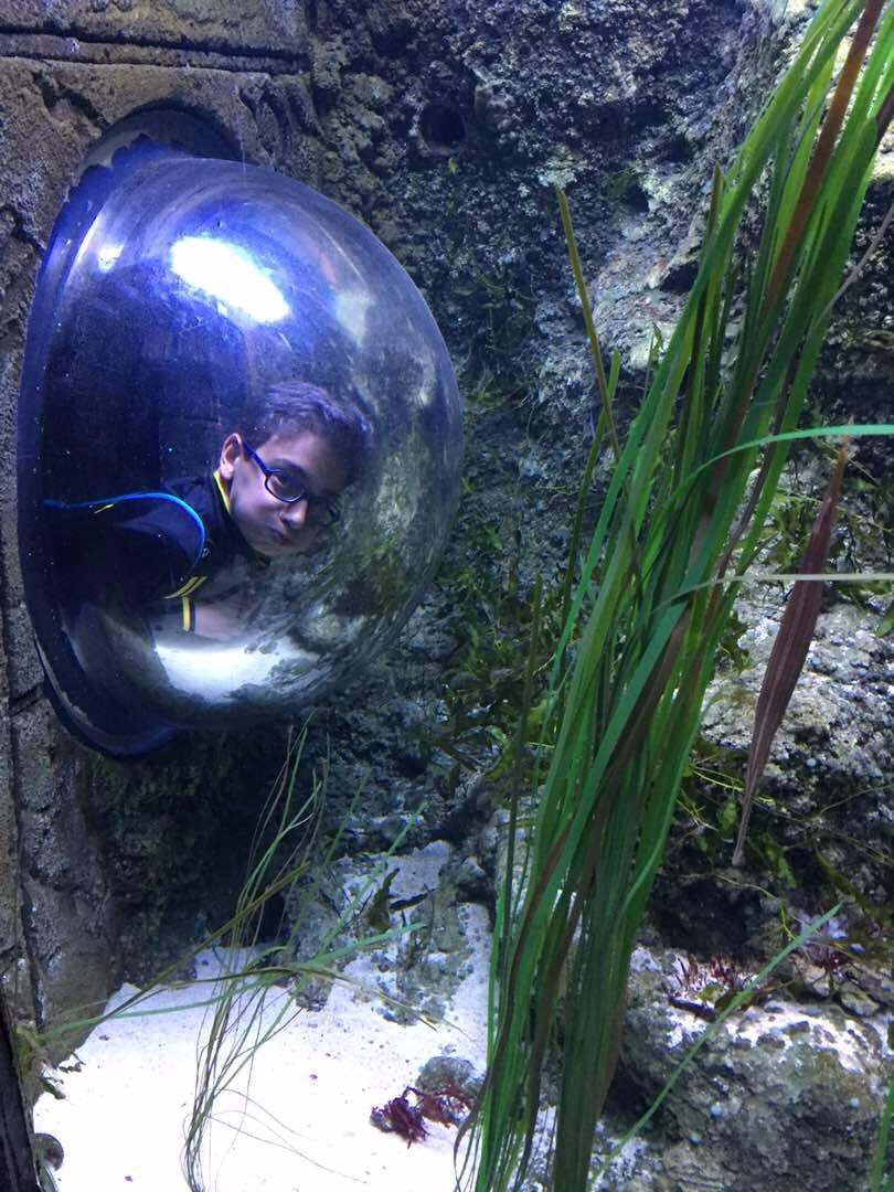 Samir Éditeur - Durant ce voyage, Karim a également visité le Sea Life London Aquarium.