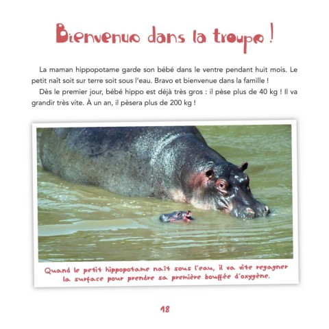 Page 18 L Hippopotame Peau Poils Et Pattes