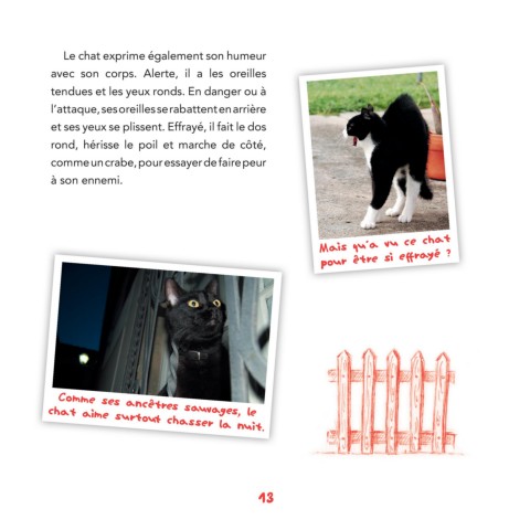 Page 13 Le Chat Peau Poils Et Pattes