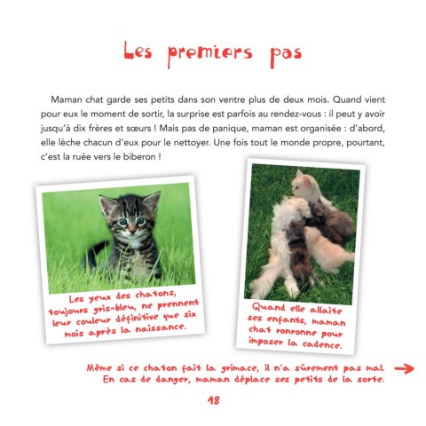 Page 18 Le Chat Peau Poils Et Pattes